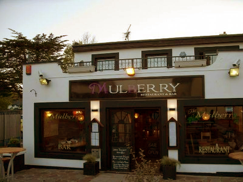 The Mullberry